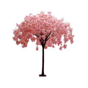 Cerisier fleuri rose - H 130 cm