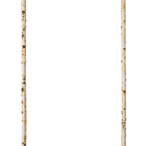 Arche en bouleau - H 210 x L 120 cm