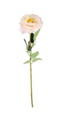 Rose blanche et rose artificielle - L 40 cm