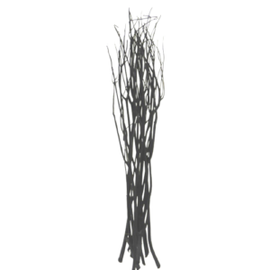 Branche noire - L 120 cm