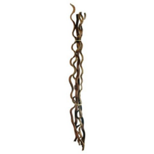 Branche noisetier tortueux - L 100 cm
