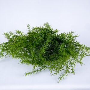 Algue verte artificielle - L 10 cm
