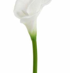 Cala blanc artificiel - L 25 cm