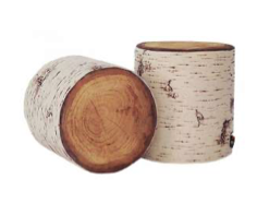 Tronc de bouleau - 10 cm