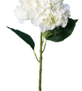 Hortensia blanc artificiel - L 20 cm