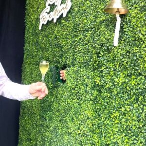 Mur végétal vert "Ring for a drink"  avec cloche -  240 x 240 cm