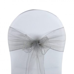 Nœud en organza argent