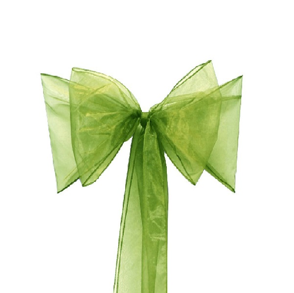 Nœud en organza vert pomme