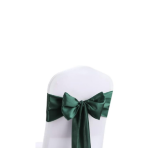 Noeud en satin vert sapin