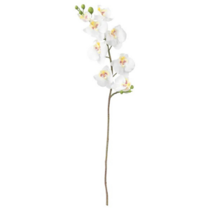 Branche d'orchidée blanc artificielle - L 50 cm