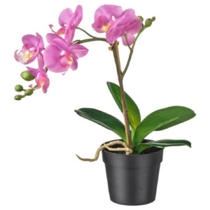 Orchidée fuchsia artificielle en pot - H 20 cm