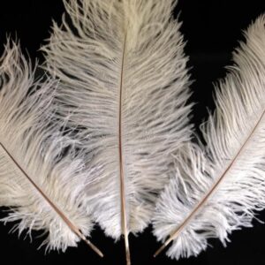 Plume d'autruche blanche - H +/- 15cm