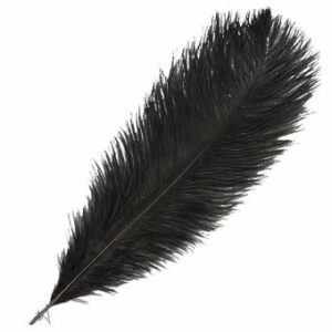 Plume d'autruche noire - H +/- 30 à 40 cm
