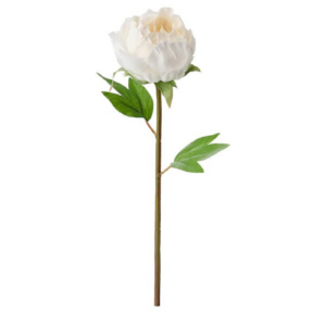 Pivoine blanc crème artificielle - L 30 cm