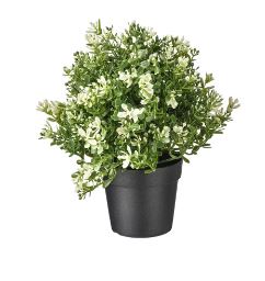 Plante thym artificiel - H 22 cm
