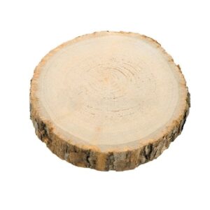 Rondin de bois - 20 cm