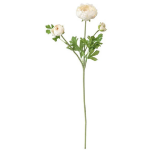 Renoncule crème artificielle - L 40 cm