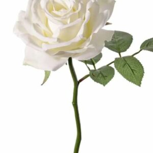 Rose blanche artificielle - L 20 cm