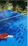 Table de ping pong - 2 raquettes et 3 balles