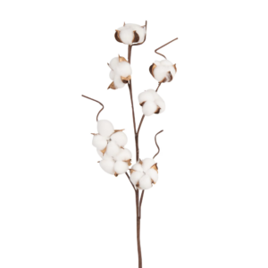 Fleurs de coton - L 50 cm