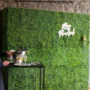 Mur végétal vert "Ring for a drink"  avec cloche -  240 x 240 cm